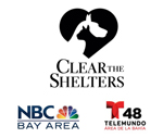 Clear the Shelter