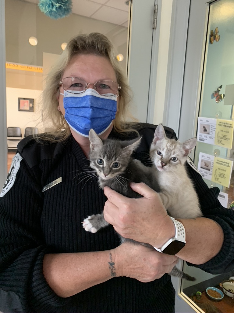 Officer Morris with kittens