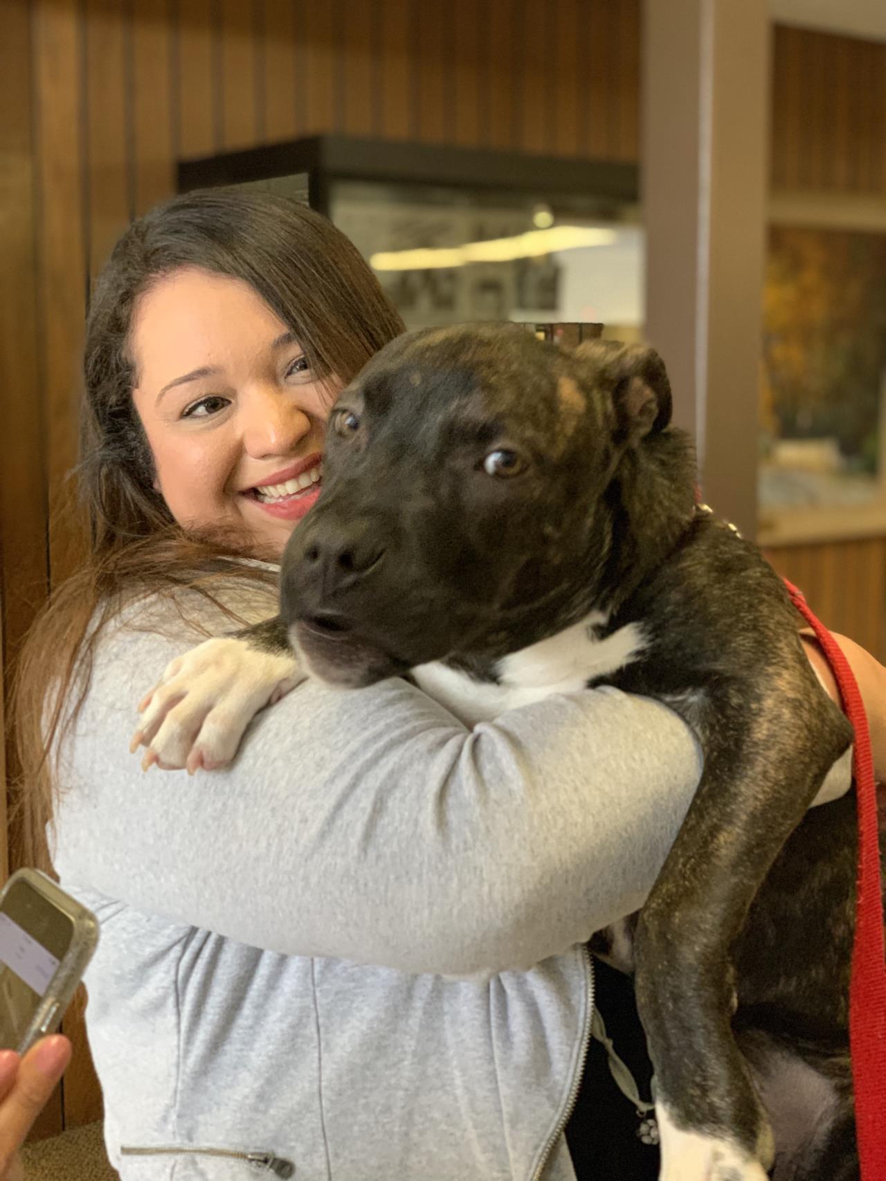 Rolo at Campbell Pet of Month