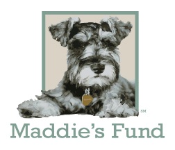 Maddie's Fund.